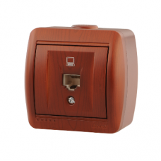 Розетка комп. 1-м ОП Ната RJ-45 вишня Lezard 710-0600-139