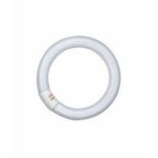 Лампа люминесцентная L 22W/840 C G10Q OSRAM 4008321581082