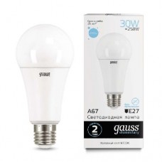 Лампа светодиодная Led Elementary A67 30Вт E27 6500К Gauss 73239