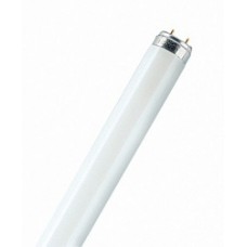 L18/12-954    G13 D26mm   590mm 5400K OSRAM-лампа * 4050300018256