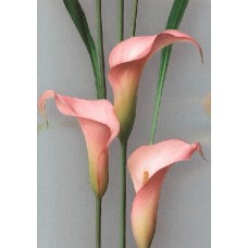 Обои Andrea Rossi Gorgona 54139-10