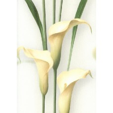 Обои Andrea Rossi Gorgona 54139-3