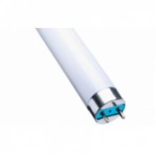 Лампа люминесцентная L 36W/830 LUMILUX OSRAM смол. 4008321581457