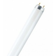 Лампа люминесцентная L 30W/640 G13 OSRAM 4008321959690
