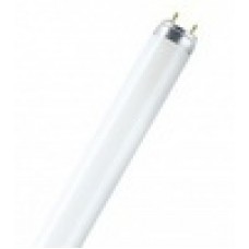 Лампа люминесцентная L 36W/765 G13 дневного цв. OSRAM смол. 4008321959836/4052899352834